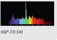  ������ ���� �����